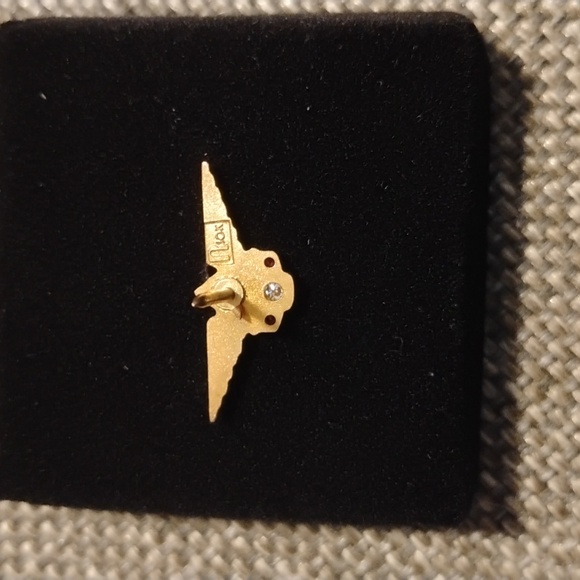 Delta Airlines 25 Year Tie Tac - Picture 4 of 6